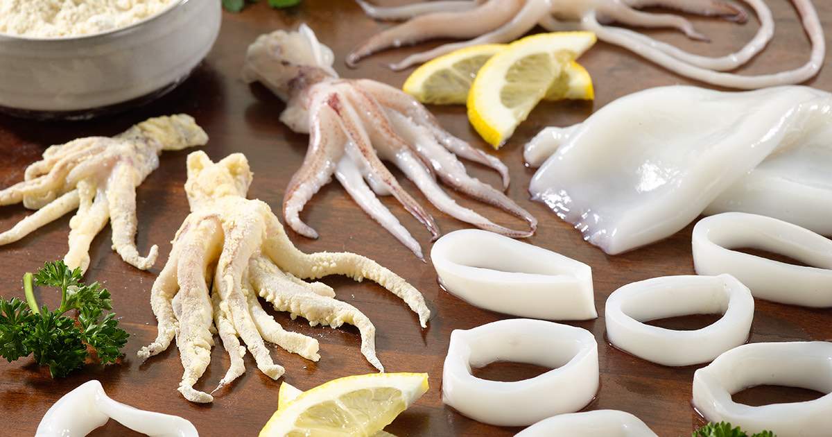 squid-products